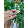 South Coast Sticks UK | Blue Metallic Stick Insects